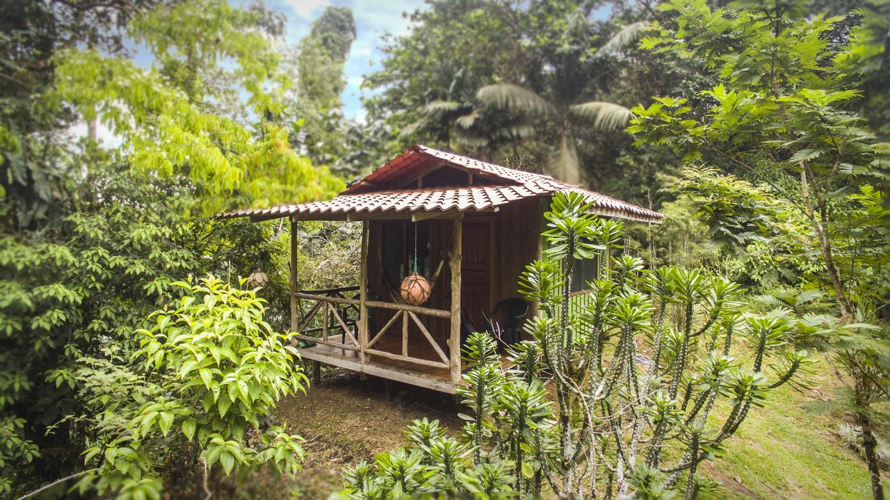 Naguala Jungle Lodge Drake Bay Exterior foto
