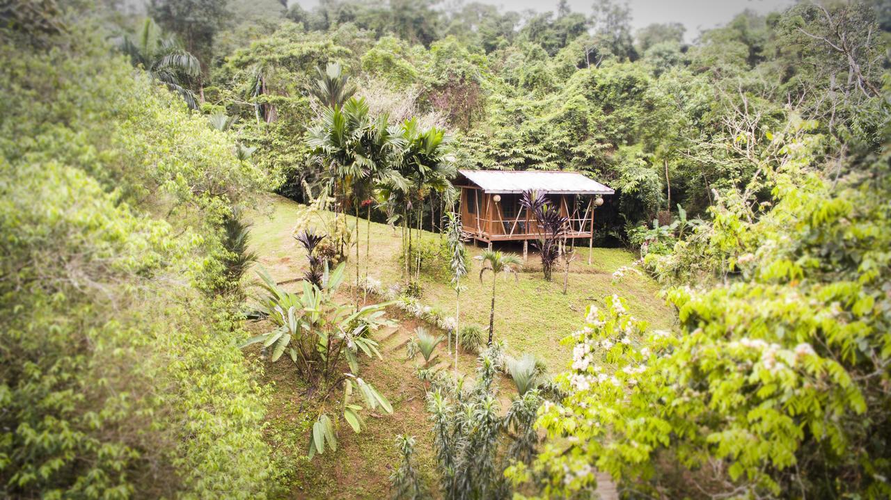 Naguala Jungle Lodge Drake Bay Exterior foto