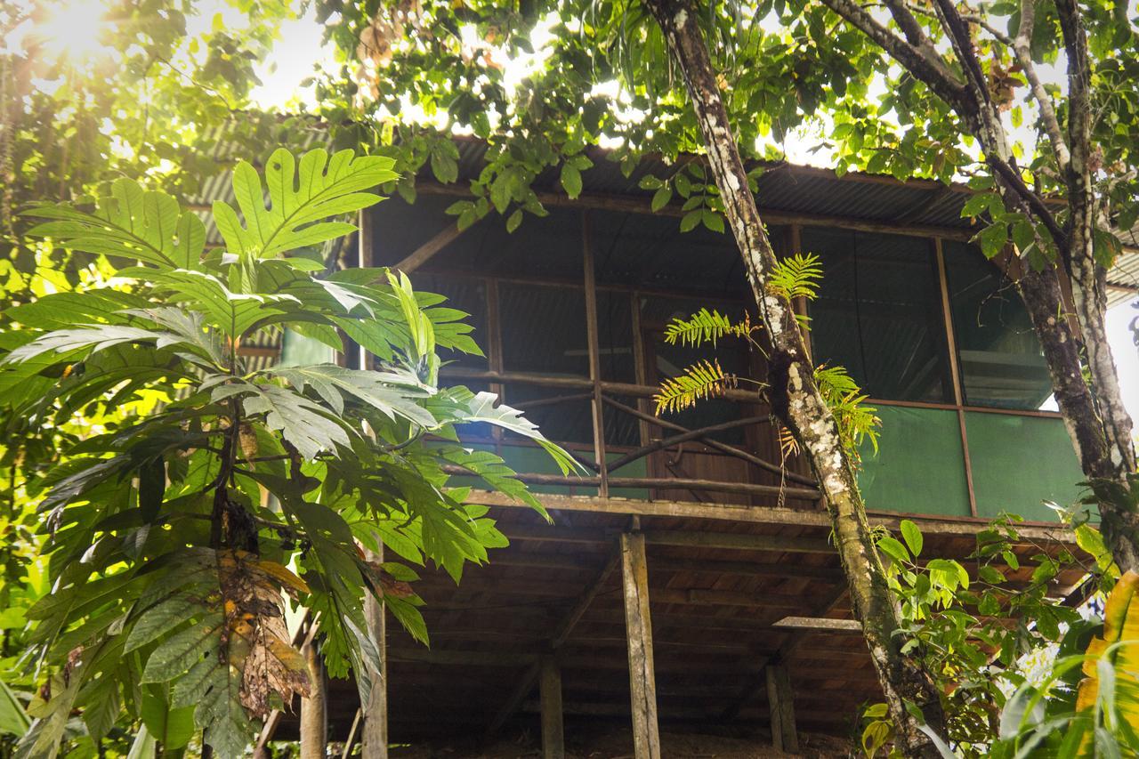 Naguala Jungle Lodge Drake Bay Exterior foto